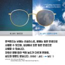 강아지놀이터 이미지