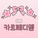 카르페디엠 티스토리