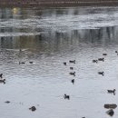 큰승주약국 이미지