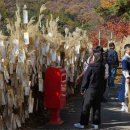 제27회 포천 산정호수 명성산 억새꽃 축제 이미지