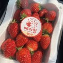 철만농장 이미지