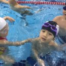 573 SWIMMING POOL 네이버블로그