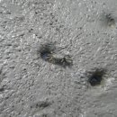 깜장고무신 이미지