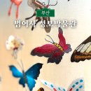 범어사 성보박물관(휴관) | 부산 무료 전시 범어사 성보박물관 최유현 자수장 초대전