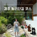 제로스디자인 | 경주 황리단길 제로스페이스 소품샵 감성 문구 투어 코스