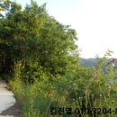 덕진-133 이미지