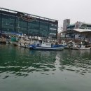 죽도물양장 이미지