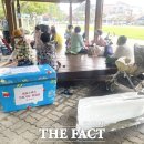 그늘막44 이미지