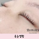 벨라제이 속눈썹 이미지