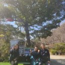 산수정산장 이미지