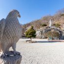 반야사불상 이미지