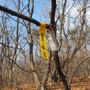 01-59 동구 이미지