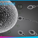 봉비뇨의학과의원 이미지