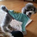 너.애.개 이미지