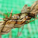다꼬기 이미지