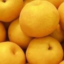 유어짐 가락 이미지