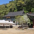 천년고찰 홍천 수타사, 부처님의 날 사찰 방문 후기 마음에 평온을 담다