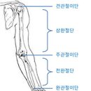 한국의지보조기학회 이미지