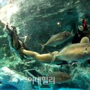 올라라 이미지