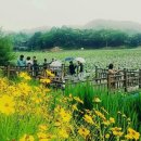 5월18일(토) 가평 송산리 물미나루터 워킹 여행 이미지