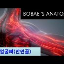 신묘막측(神妙莫測) 하신 하나님의 걸작품/인체신비 - 얼굴근육,얼굴뼈, 얼굴표정 이미지