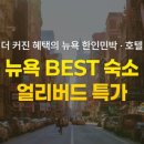 라라뉴욕 이미지