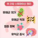 정있는 식품 | 매스틱검 정 위건강식품 대신 선택한 제품 후기