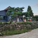 초이지아 이미지