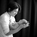 동호 이미지
