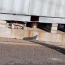 소구월사거리 이미지