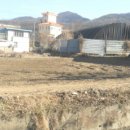 판암동148 이미지