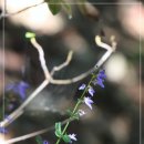 인천 계양산 등산코스(계양문화회관주차장-정상-징매이고개-장미원-계양문화회관)+정상뷰(동서남북...