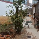 명신당약국 이미지