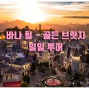 골든브릿지 - 김해시 호계로422번길 8 | 골든브릿지