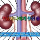 24시해든동물메디컬센터 이미지