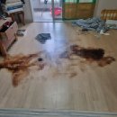 경기도 구리시청 이미지