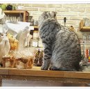 푸른들청소년도서관 화장실 이미지