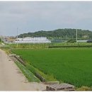 보물찾기공인중개사사무소 네이버블로그