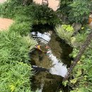 샘밭막국수 | 부모님과 함께 하는 2박 3일 춘천 여행｜춘천 샘밭 막국수 방문 후기