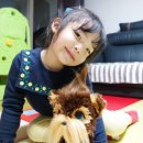 퍼니 인형샵 이미지
