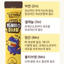 셀 트레이스