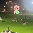 별량그린 이미지