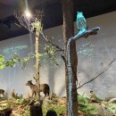 🌍국립생물자원관🌍🌳 이미지