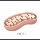(주)피코엔텍