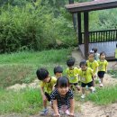 모라산림공원 이미지