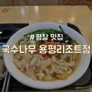 [강원/평창] 모나 용평리조트 식당가 푸드코트 정보 공유 및 가성비 식당 추천 &#34;국수나무&#34;