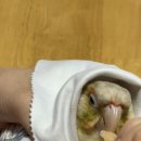 덕천동물의료센터 이미지