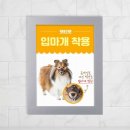 진희광고