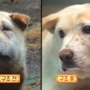 복실농장 이미지