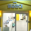 멍균관대 이미지